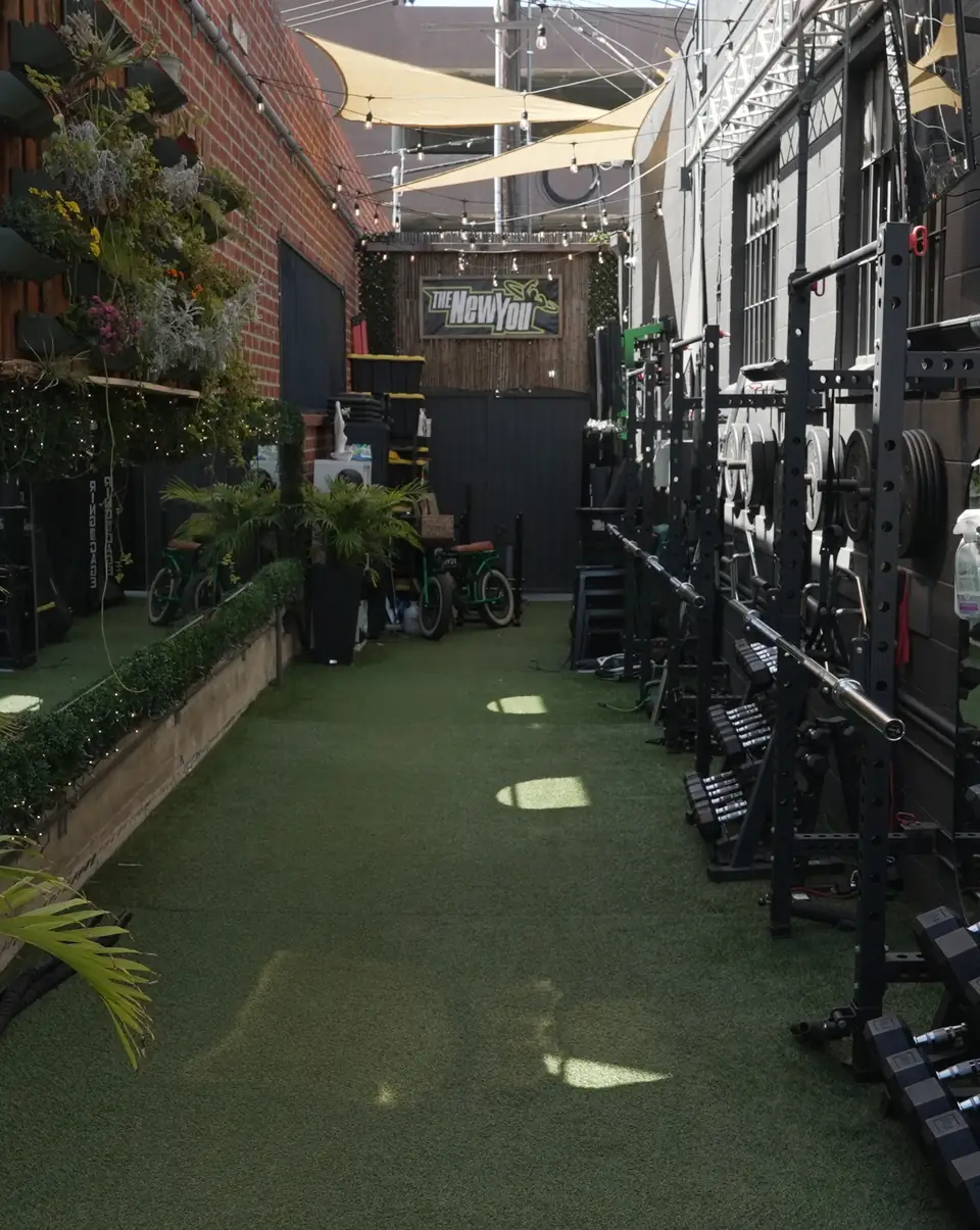 The outdoor gym in daylight, racks along the wall and plants along the turf